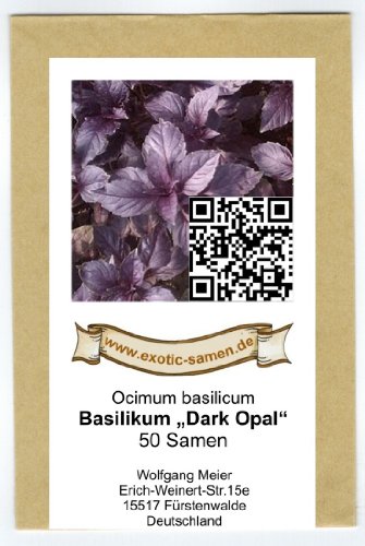 Ocimum basilicum - Basilikum 
